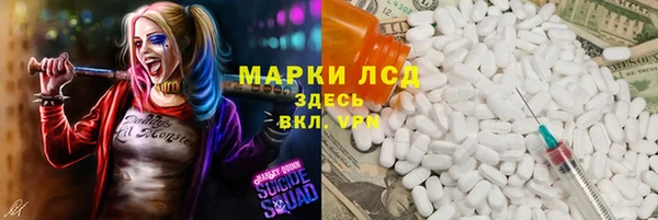 гашик Дмитриев