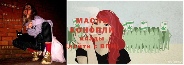 крисы Елабуга
