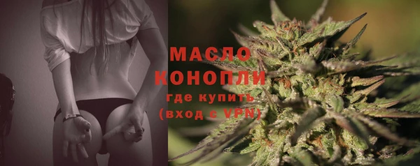 гашик Дмитриев