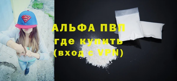 гашик Дмитриев