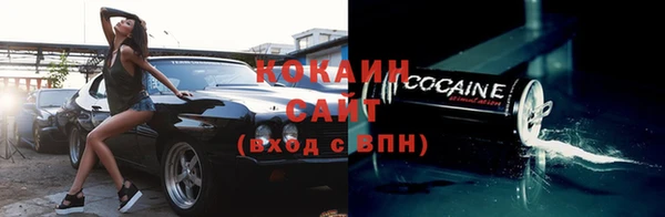 спиды Ельня