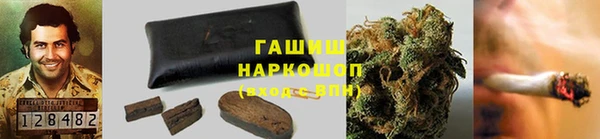 гашик Дмитриев
