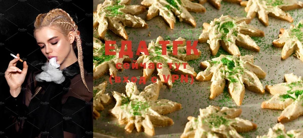 спиды Ельня