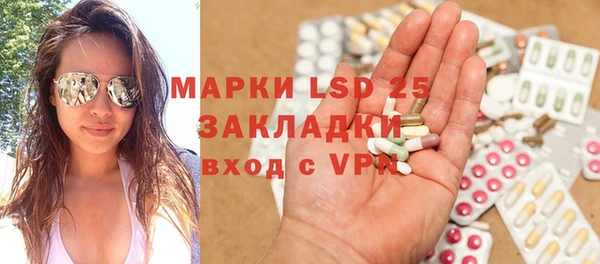 гашик Дмитриев