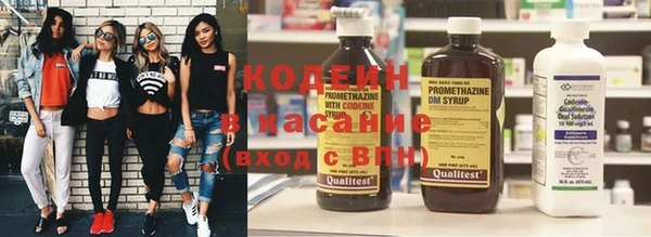 гашик Дмитриев